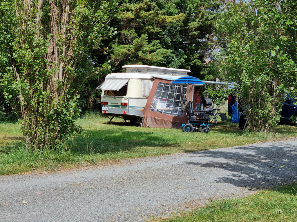 petit camping chien accepté