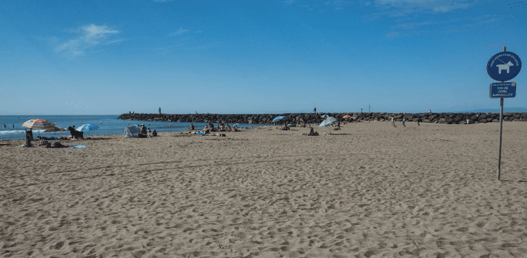 vendres plage chien autorisé