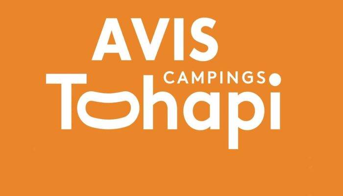 Tohapi : Avis et retours sur notre expérience