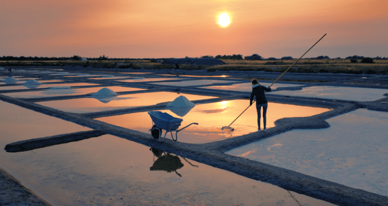 marais salants en Vendée