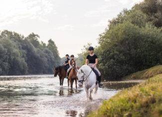 Que faire et voir en Camargue pour un weekend ?