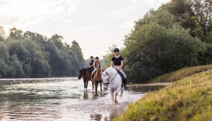 Que faire et voir en Camargue pour un weekend ?