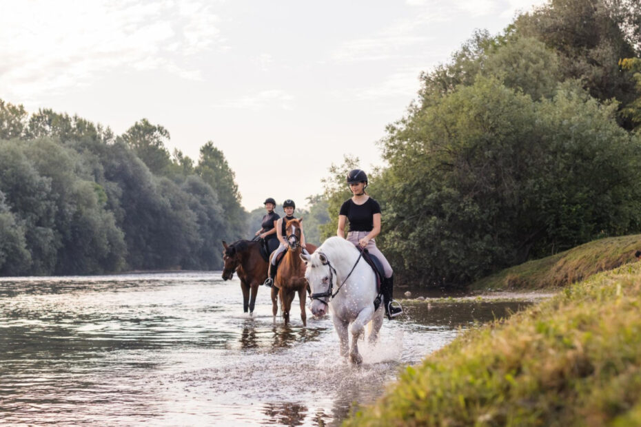 la camargue en un week end