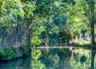 Pourquoi Saint-Jean-de-Monts est-elle la destination reine des vacances en famille en Vendée ?