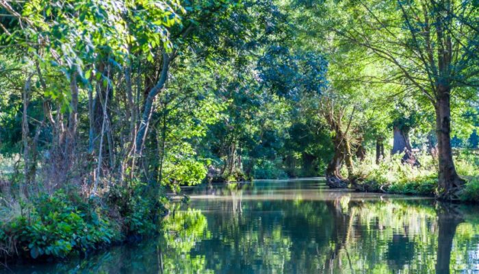Pourquoi Saint-Jean-de-Monts est-elle la destination reine des vacances en famille en Vendée ?
